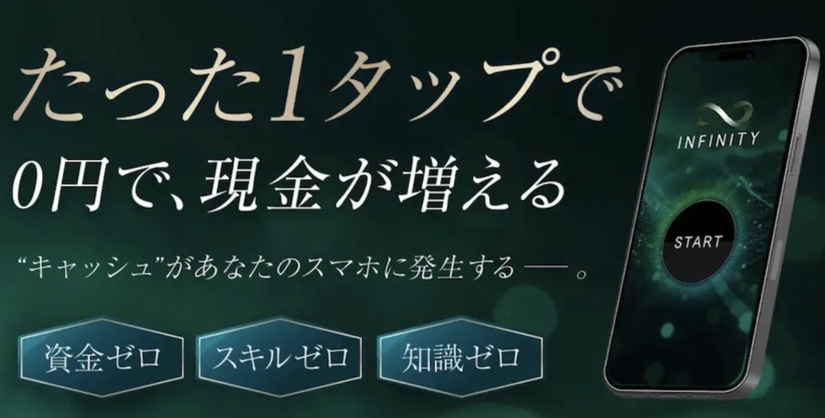 インフィニティのLP画像